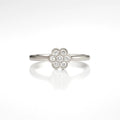 Blossom Radiance — 925 Silver Floral Rings for a Blooming Elegance