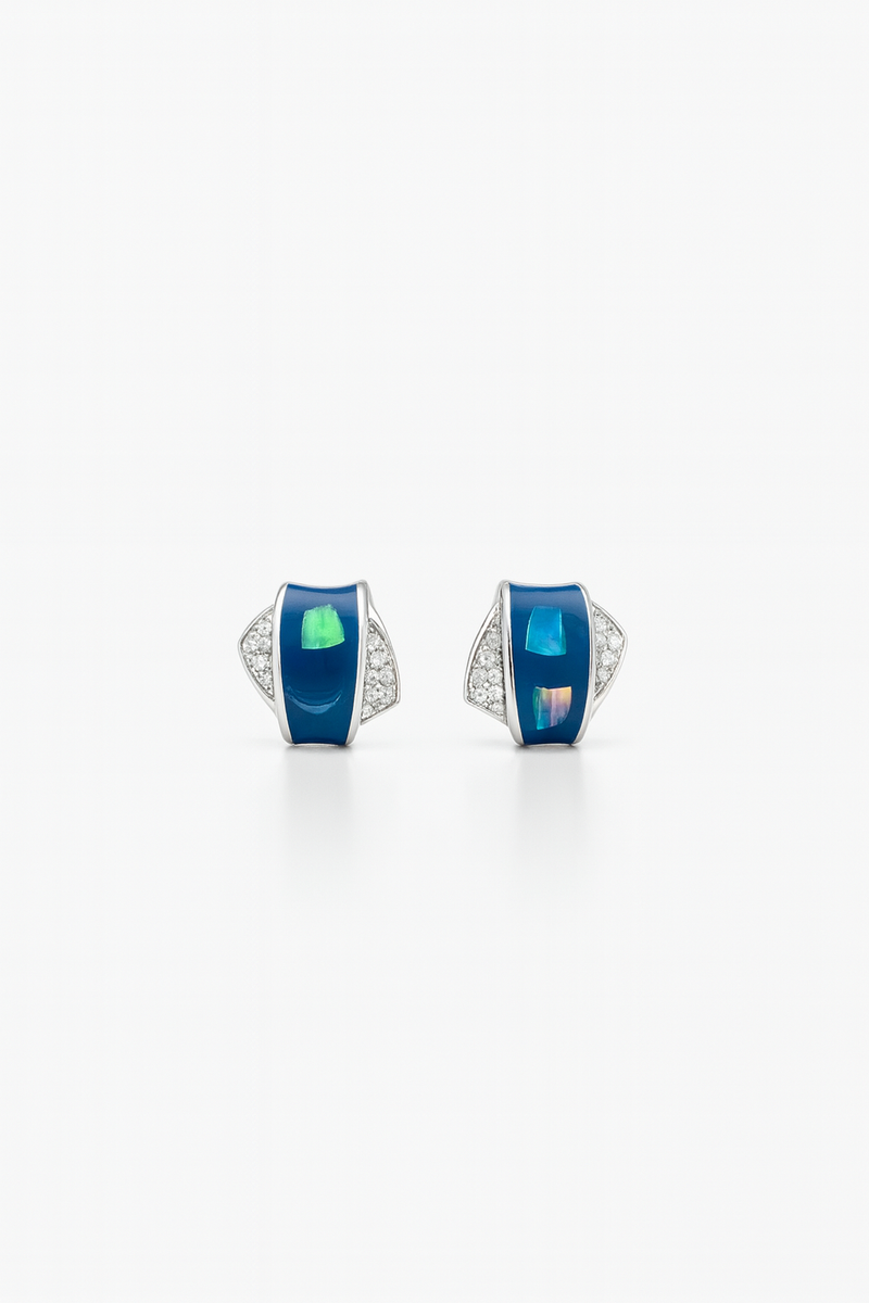 Azure Dream: Captivating Blue Stone Oxidised Silver Stud Earrings