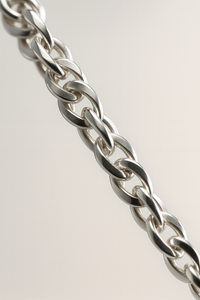 Premium Twisted Silver Chain – Minimalist Everyday Statement Jewelry